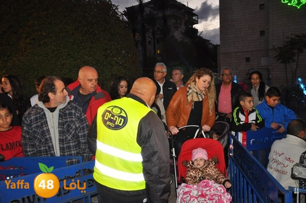 tree light 1208 (13).JPG